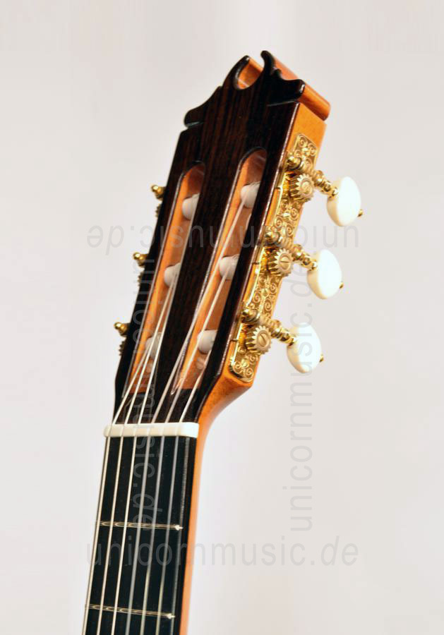 zur Artikelbeschreibung / Preis Spanische Flamencogitarre CAMPS CONCIERTO AMAZONAS - vollmassiv - Fichten Decke + Koffer