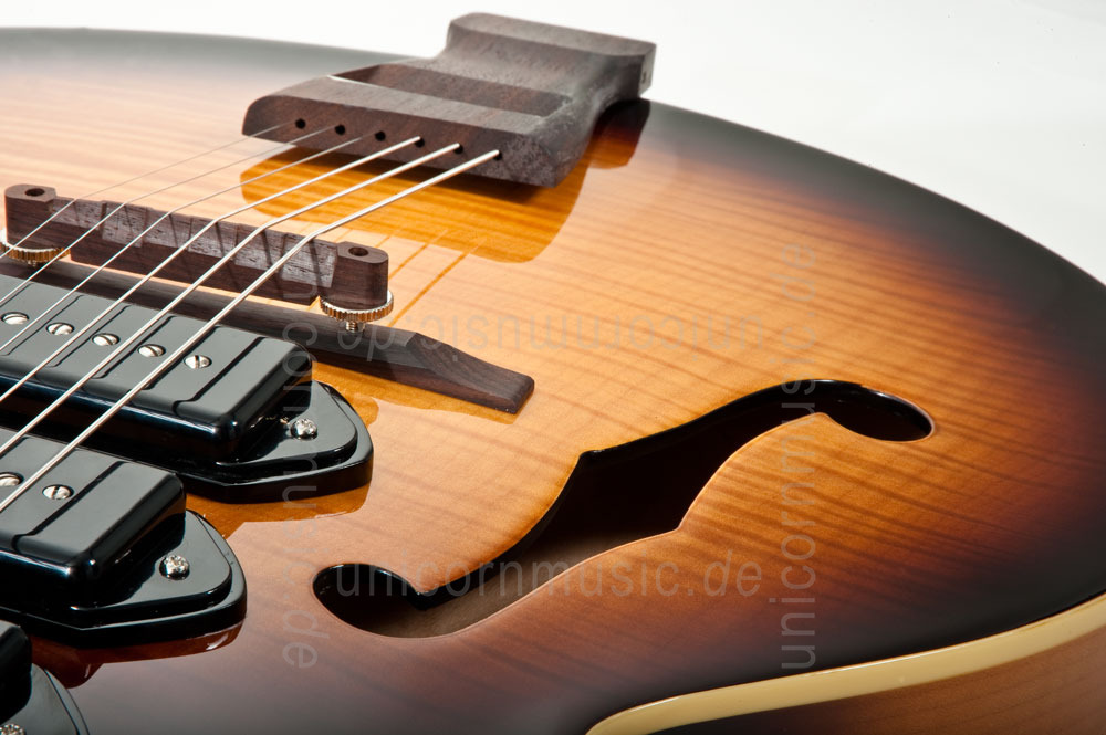 zur Artikelbeschreibung / Preis Halbresonanz Jazz-Gitarre - PEERLESS WIZARD STANDARD + Koffer