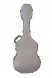 gitarrenkoffer-eastman-cagt-silber-vorne.jpg