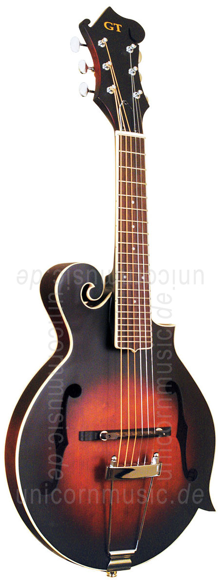 zur Artikelbeschreibung / Preis Mando Guitar GOLD TONE F6 - F Style - Tonabnehmer - Koffer