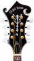 gold-tone-gm-70plus-f-sytle-mandolin-headstock.jpg
