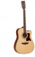 det-tanglewood-tw115-as-ce-set.jpg