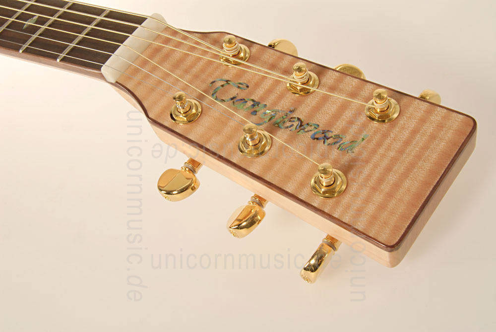 zur Artikelbeschreibung / Preis Western-Gitarre TANGLEWOOD TW15/FMP - Sundance Series - Dreadnought - massive Decke